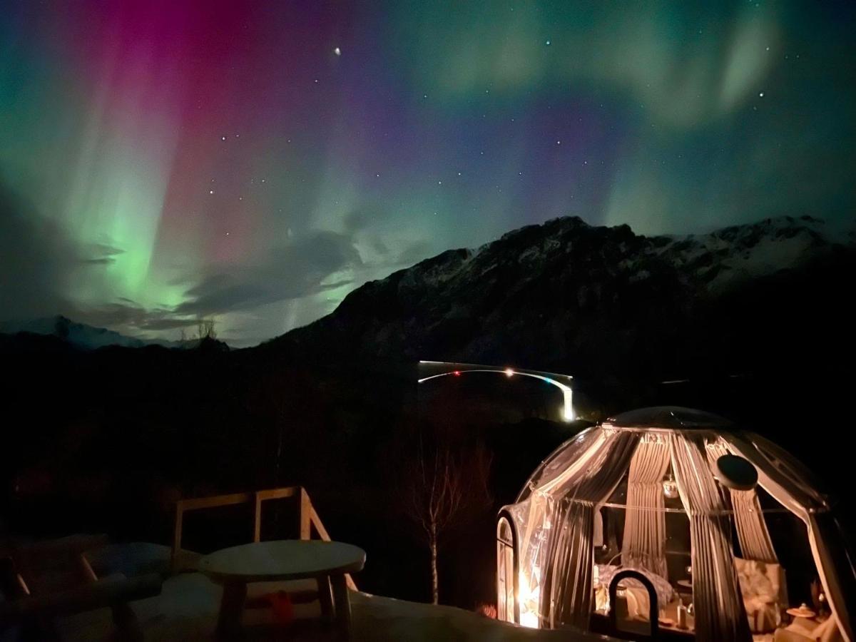 Lofoten Glampingdome Myrland Ngoại thất bức ảnh