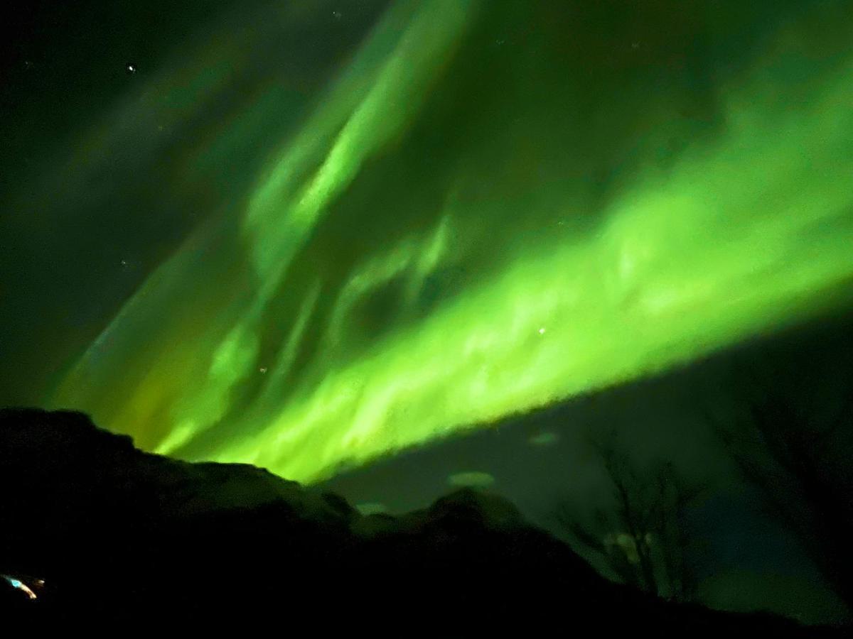 Lofoten Glampingdome Myrland Ngoại thất bức ảnh