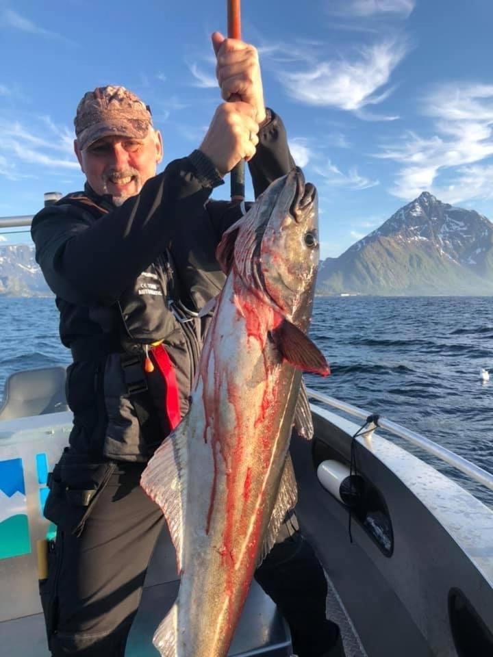 Lofoten Glampingdome Myrland Ngoại thất bức ảnh
