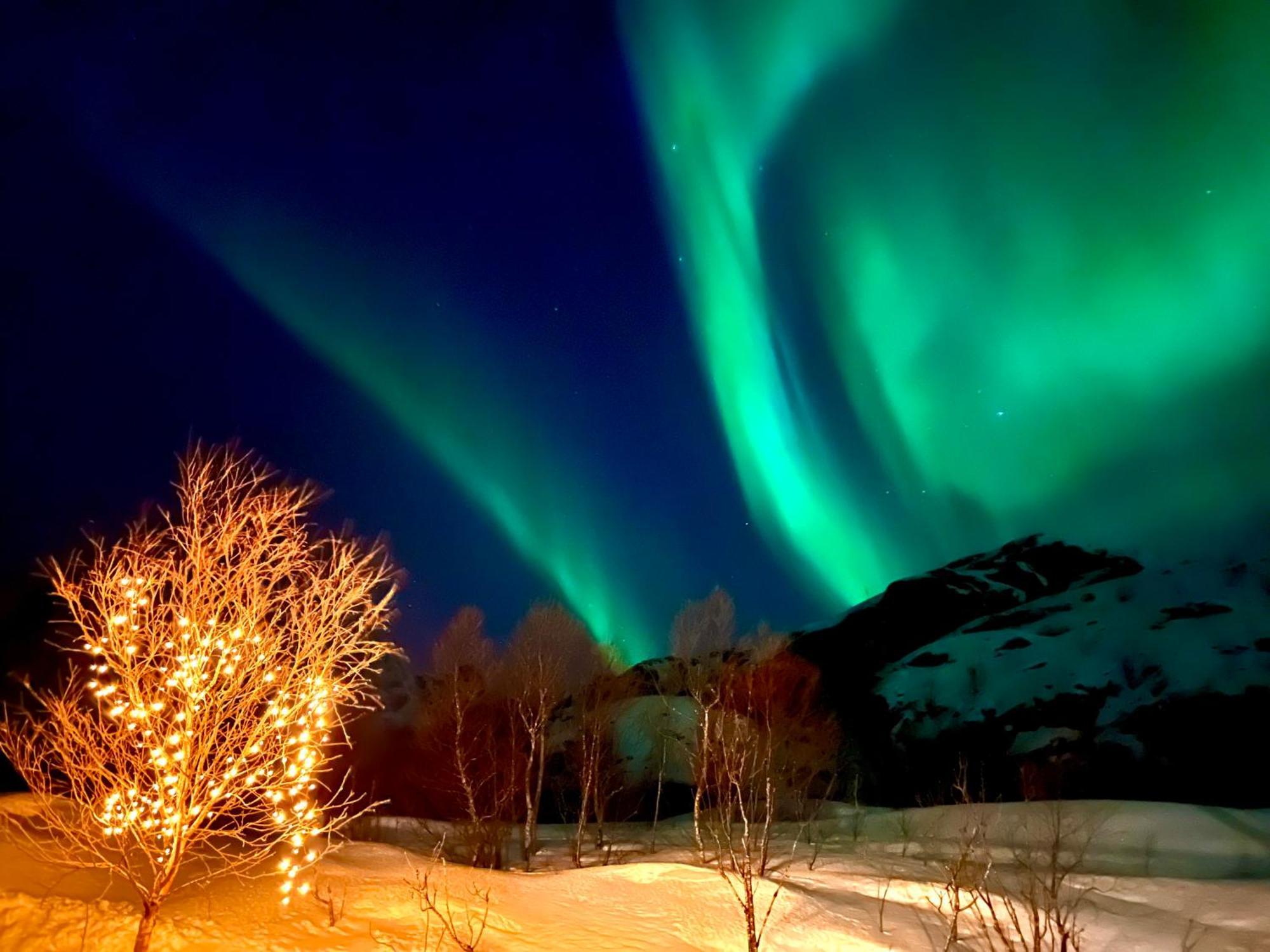 Lofoten Glampingdome Myrland Ngoại thất bức ảnh