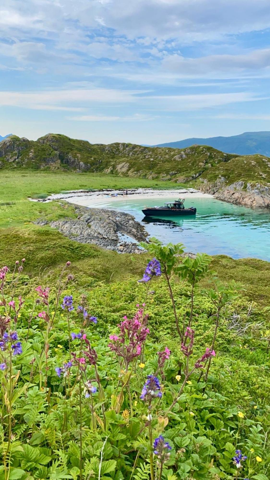 Lofoten Glampingdome Myrland Ngoại thất bức ảnh